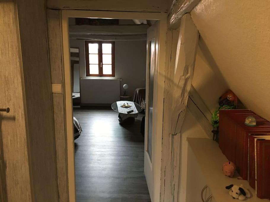 Appartamento Bienvenue En Alsace Huttenheim Esterno foto