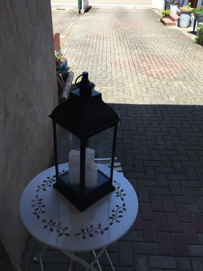 Appartamento Bienvenue En Alsace Huttenheim Esterno foto