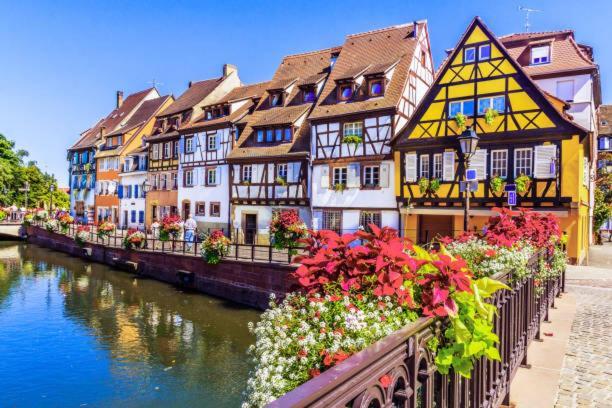 Appartamento Bienvenue En Alsace Huttenheim Esterno foto