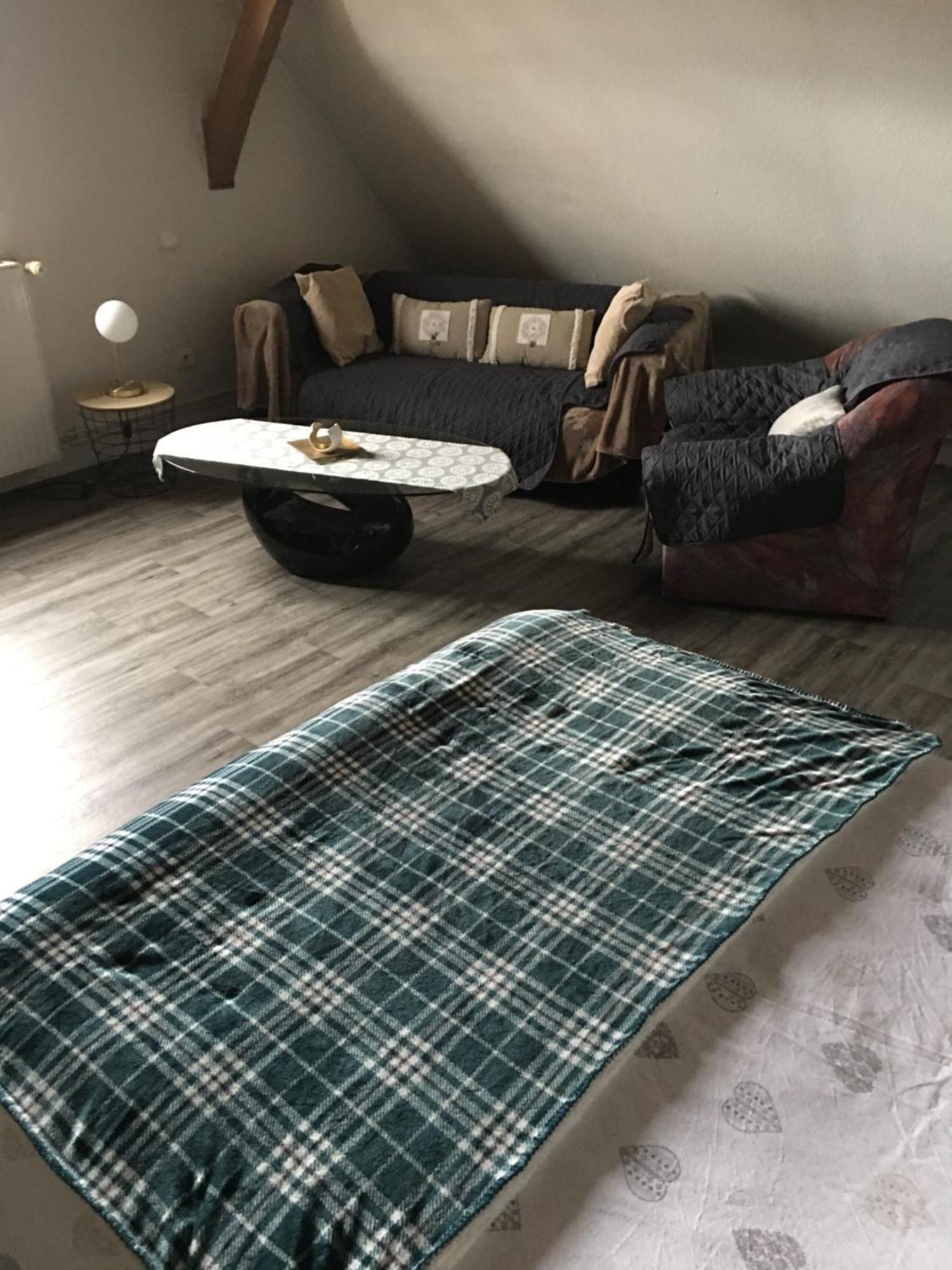 Appartamento Bienvenue En Alsace Huttenheim Esterno foto